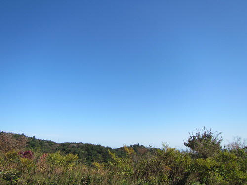 a0251786_22123683.jpg
