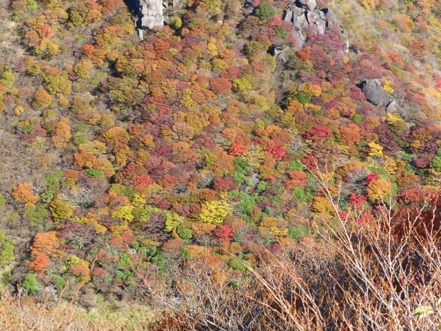 f0357487_22473912.jpg