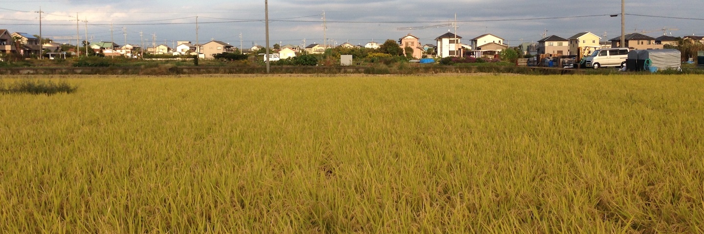 c0170789_19071448.jpg