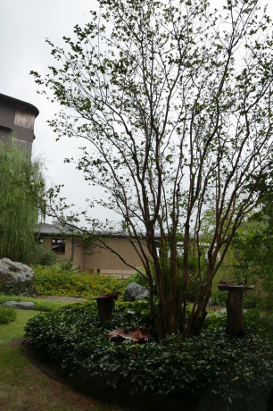 f0250403_17205454.jpg