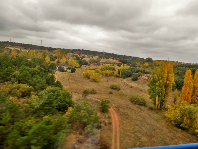 b0064411_01520485.jpg