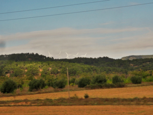 b0064411_01520629.jpg