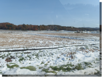 a0114514_19585938.png