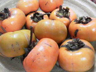 f0036223_21353012.jpg