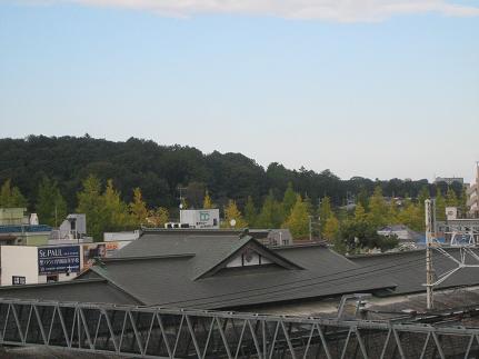 f0166824_22285820.jpg
