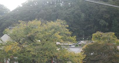 f0166824_2230257.jpg