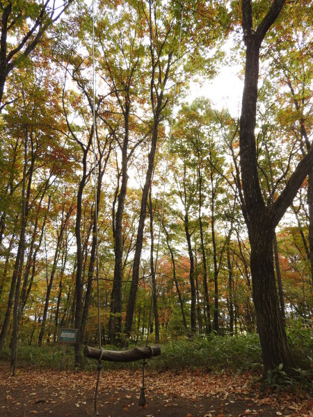 b0174425_09135336.jpg