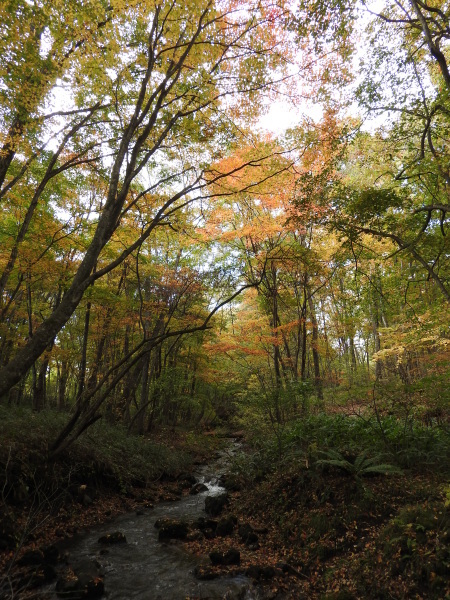 b0174425_09151031.jpg
