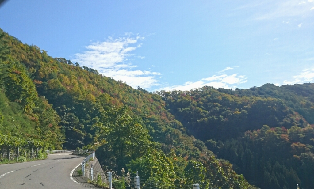 c0229025_16503231.jpg