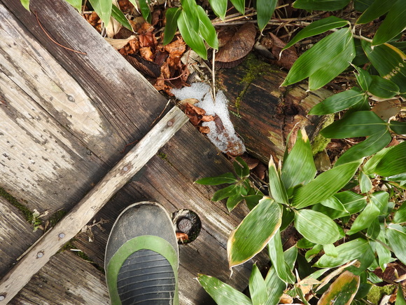 f0118332_2223355.jpg