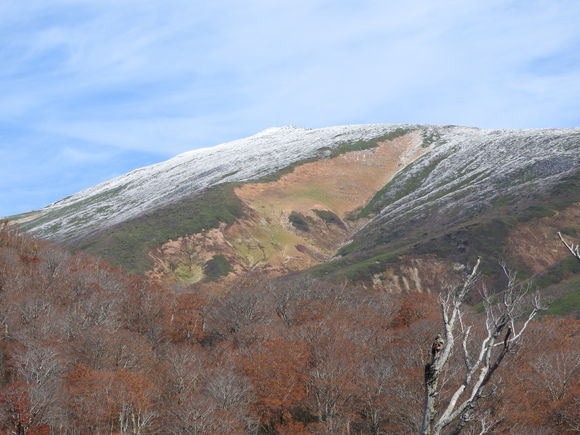 f0118332_2223440.jpg
