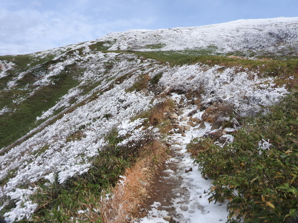 f0118332_2224915.jpg