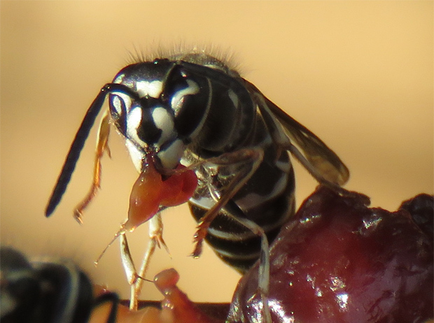 f0214649_20113417.jpg