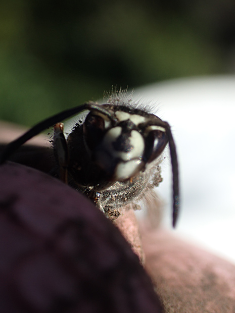 f0214649_612099.jpg