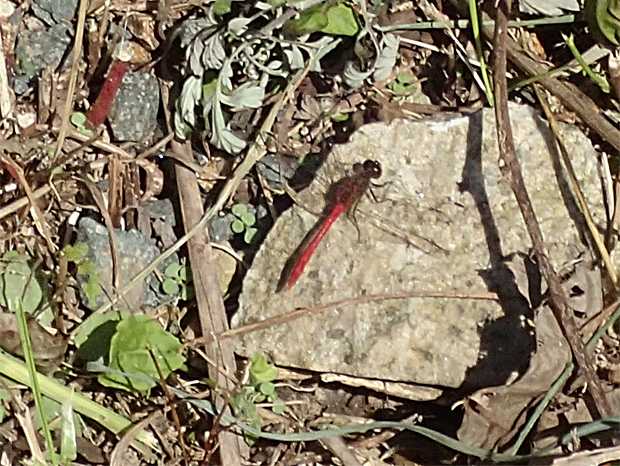 f0214649_642369.jpg