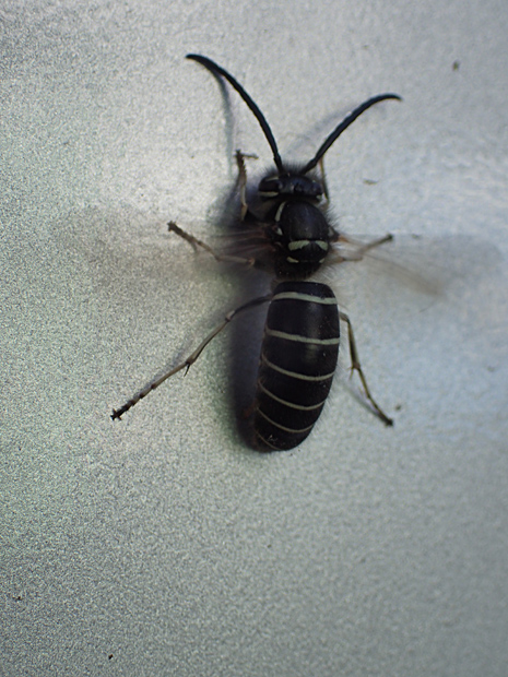 f0214649_651522.jpg