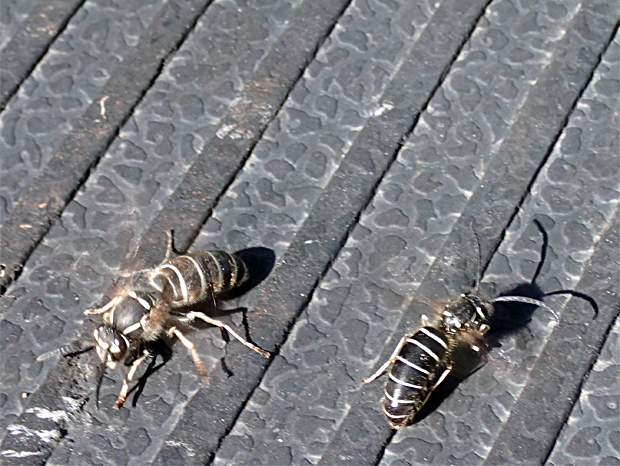 f0214649_66249.jpg