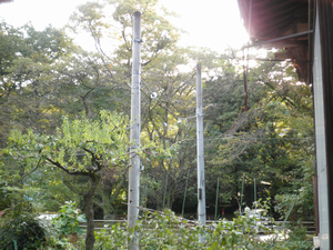 a0057057_1017675.png