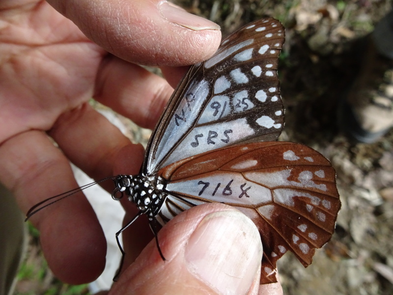 c0108460_20352852.jpg