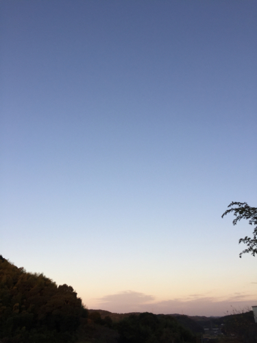 f0368662_10580524.jpg