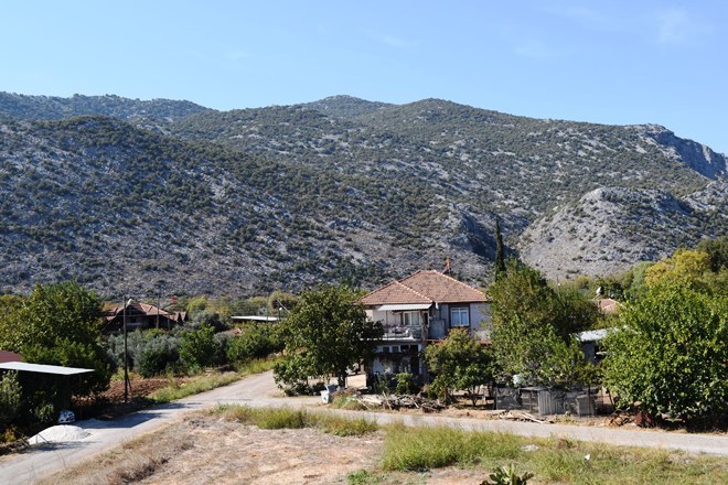 f0232763_21165495.jpg
