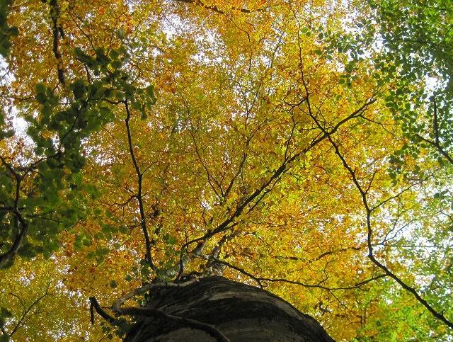 c0219866_14262295.jpg