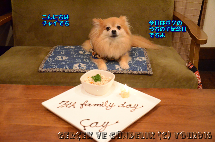 a0004070_23501094.jpg