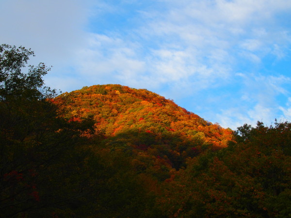c0122670_00213327.jpg