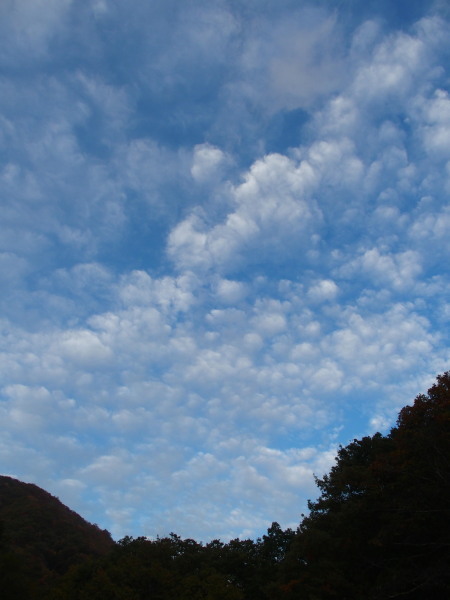 c0122670_00213369.jpg