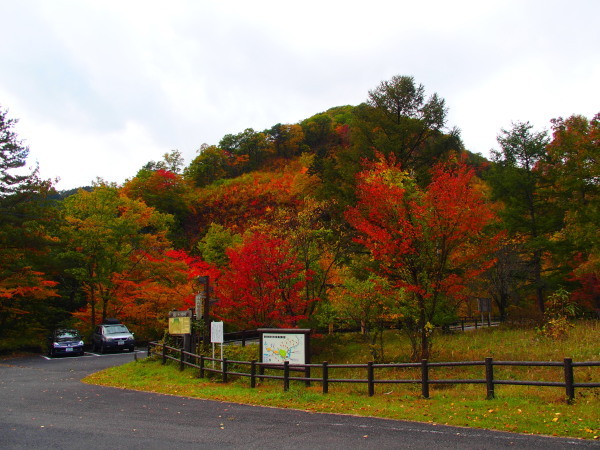 c0122670_00390115.jpg