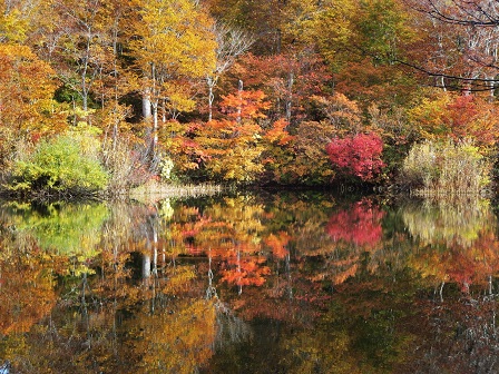 f0302771_2139025.jpg