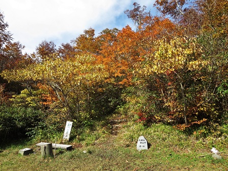 f0302771_21392911.jpg