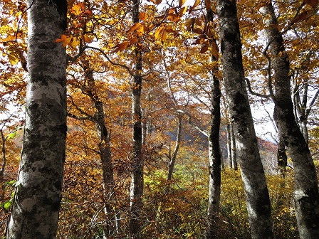 f0302771_21394814.jpg