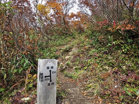 f0302771_21403020.jpg