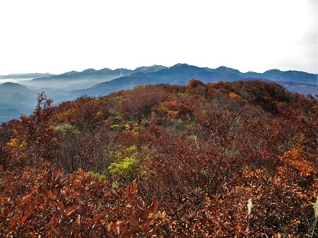 f0302771_21404682.jpg