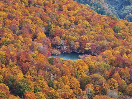 f0302771_21412995.jpg