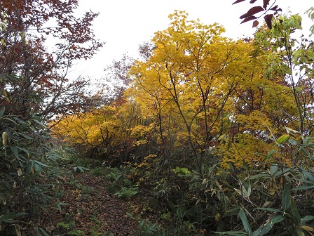 f0302771_21414975.jpg