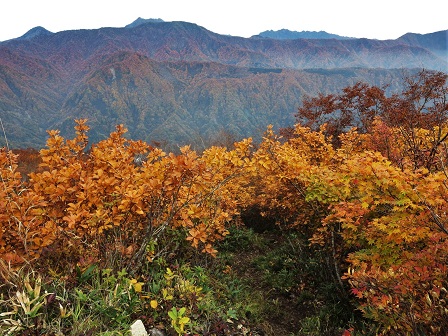 f0302771_21422462.jpg