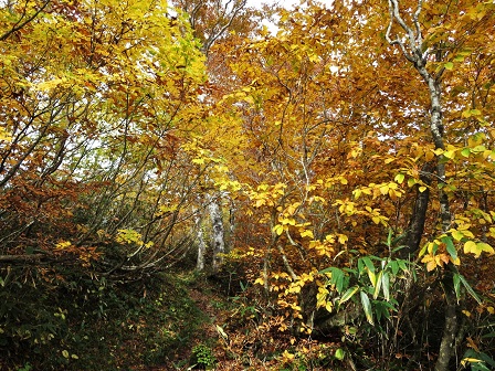 f0302771_21424316.jpg