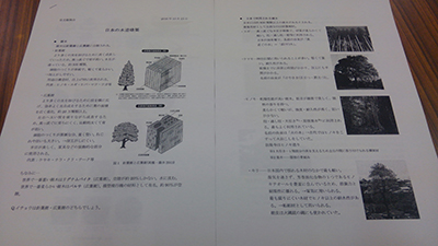 c0152274_17435279.jpg