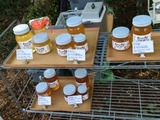 e0358579_13005131.jpg