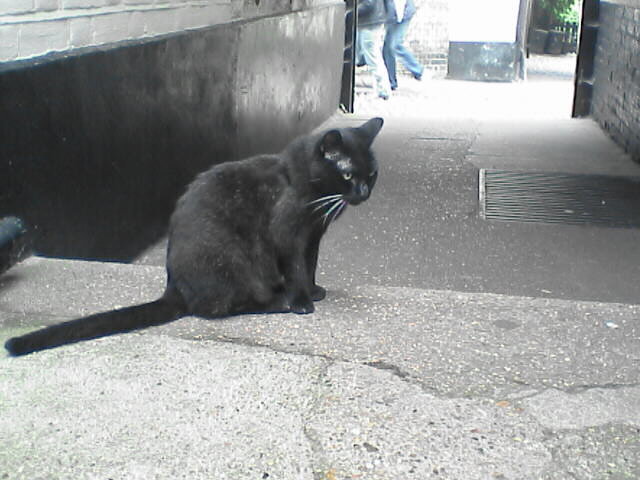 c0069380_16032156.jpg