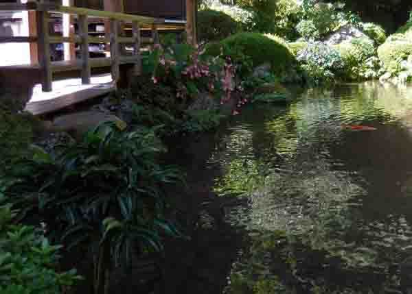 a0045381_17194358.jpg