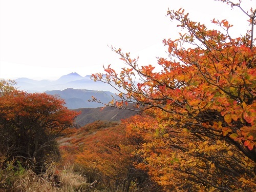 f0372285_22401131.jpg