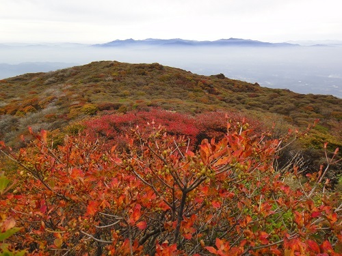 f0372285_22402621.jpg