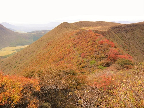 f0372285_22414984.jpg