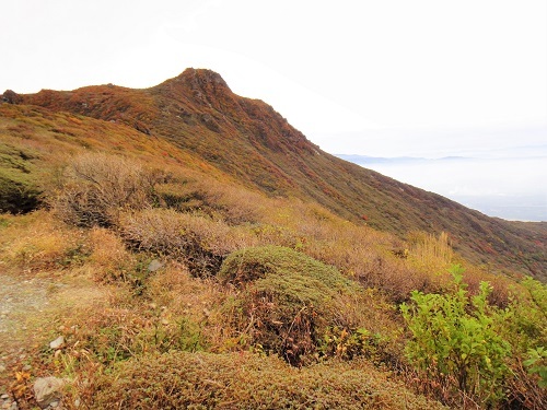 f0372285_22415567.jpg