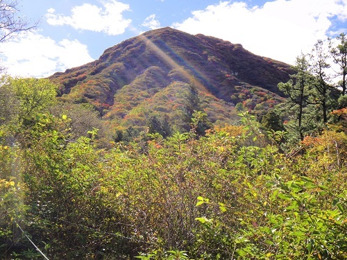 f0372285_22420594.jpg