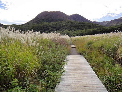 f0372285_22421683.jpg