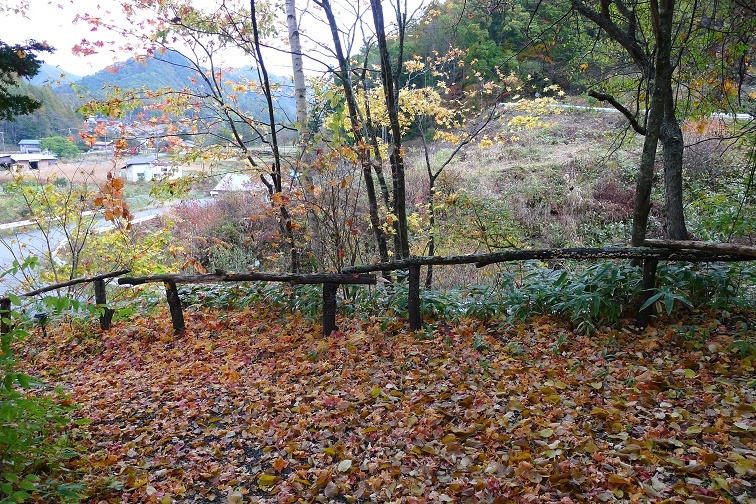 a0130586_105170.jpg